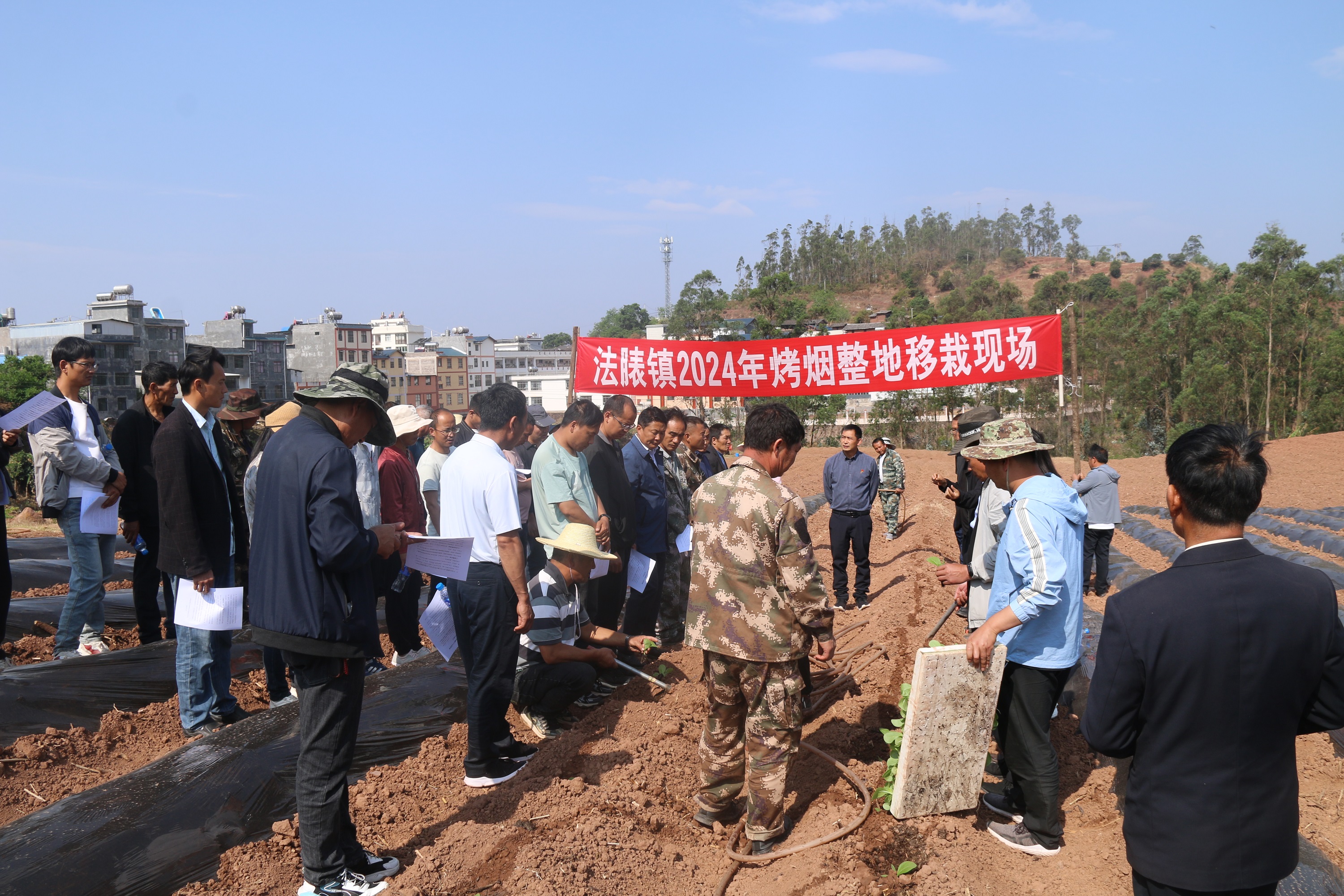 双柏县法脿高速公路图片