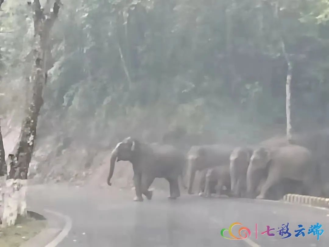 微信图片_20220807225101.jpg 图片