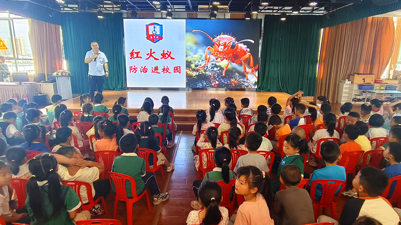 红火蚁防治知识进校园·筑牢校园安全防线