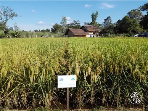 downLoad-20201022171747.jpg 图片