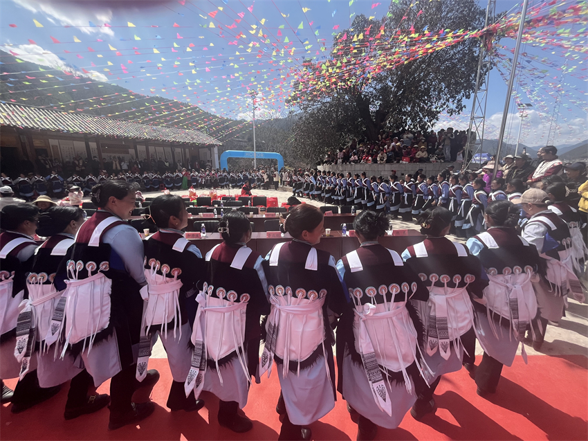 兰香民乐收入好 玉龙县石头乡四华村兰花展销会开展