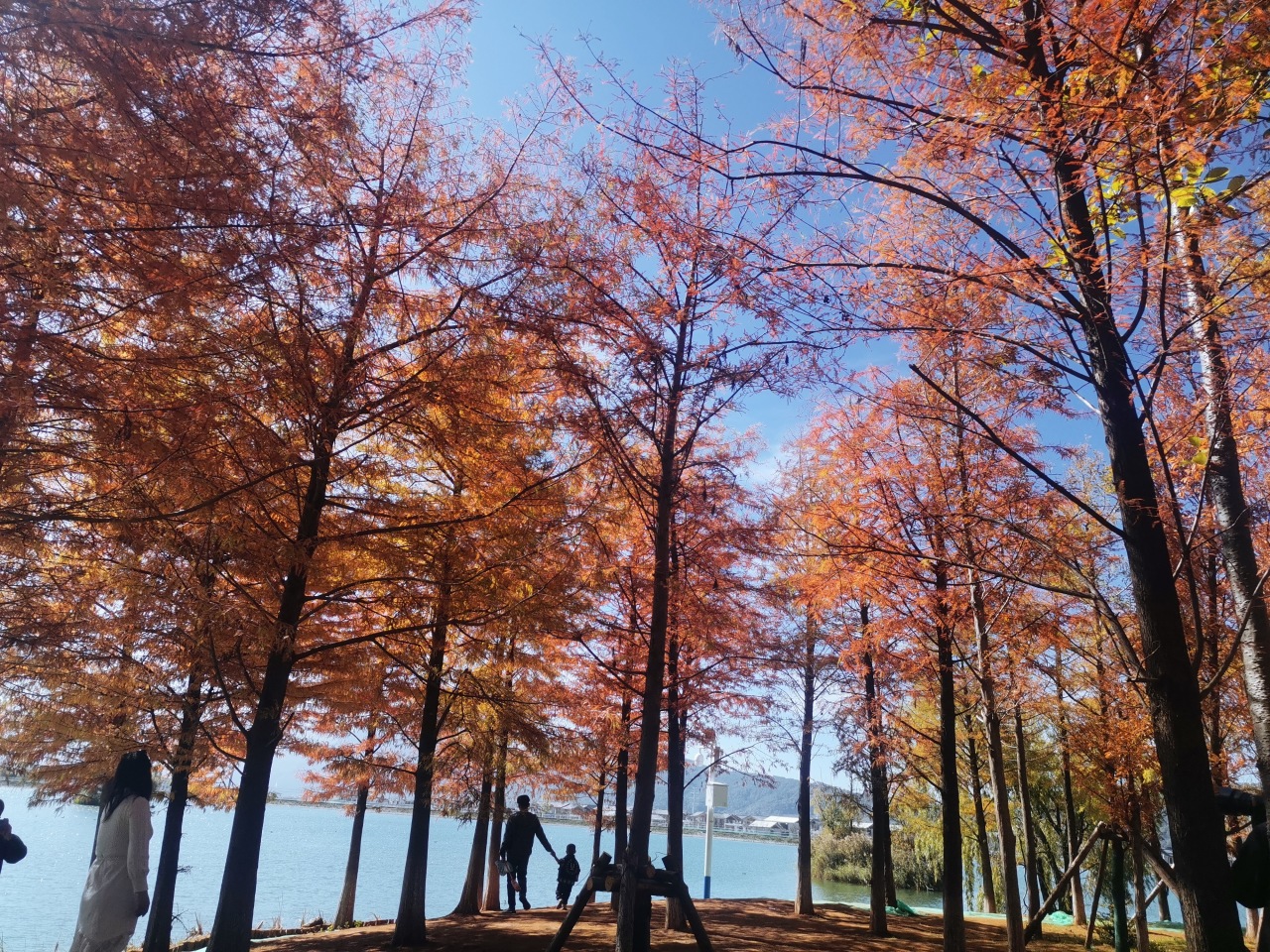 picture20231009025103