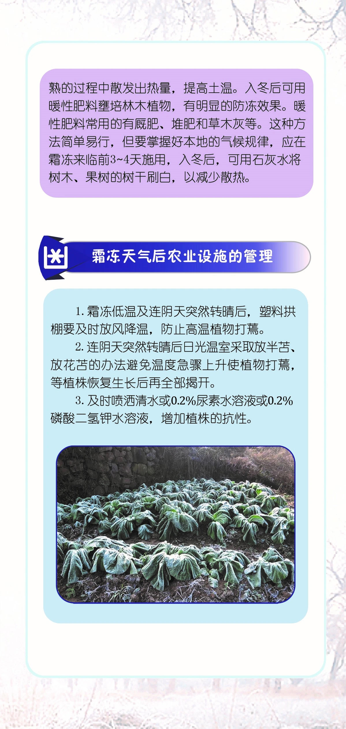 复制图片