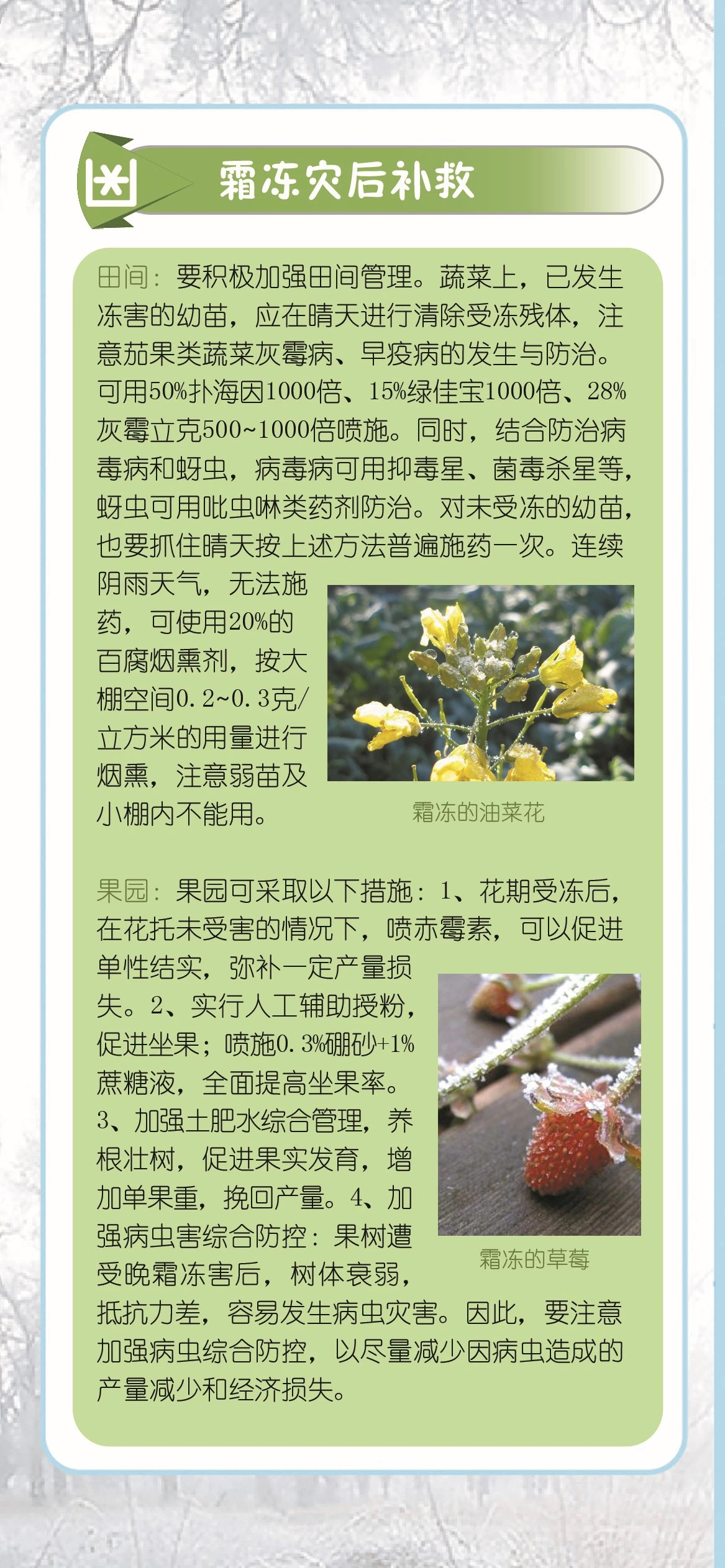 复制图片